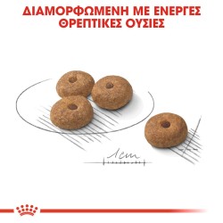 Royal Canin Mini Sterilised 3kg Royal Canin Size - 3