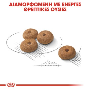 Royal Canin Mini Sterilised 3kg Royal Canin Size - 3