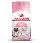 Royal Canin Mother and Babycat 2kg Royal Canin Mother and Babycat 2kg