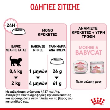 Royal Canin Mother and Babycat 2kg Royal Canin Feline Health - 2