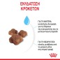 Royal Canin Mother and Babycat 2kg Royal Canin Mother and Babycat 2kg