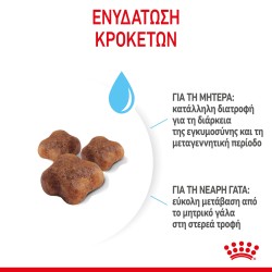 Royal Canin Mother and Babycat 2kg Royal Canin Feline Health - 3