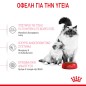 Royal Canin Mother and Babycat 2kg Royal Canin Mother and Babycat 2kg