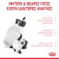 Royal Canin Mother and Babycat 2kg Royal Canin Mother and Babycat 2kg