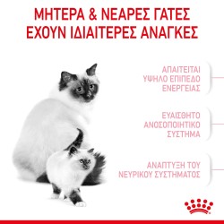Royal Canin Mother and Babycat 2kg Royal Canin Feline Health - 5