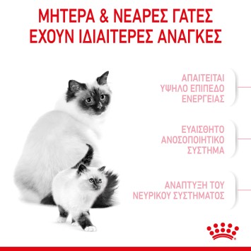 Royal Canin Mother and Babycat 2kg Royal Canin Feline Health - 5