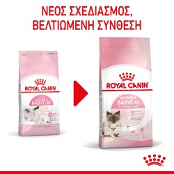 Royal Canin Mother and Babycat 2kg Royal Canin Feline Health - 6