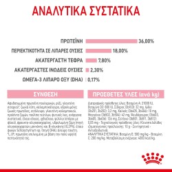 Royal Canin Kitten 36 4kg Royal Canin Feline Health - 4