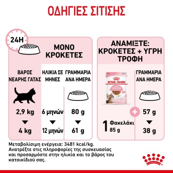 Royal Canin Kitten Sterilised 2kg Royal Canin Feline Health - 2