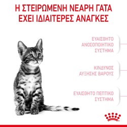 Royal Canin Kitten Sterilised 2kg Royal Canin Feline Health - 4