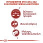 Royal Canin Fit 32 10kg + 2kg Δώρο Royal Canin Fit 32 10kg + 2kg Δώρο