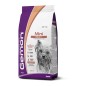 Gemon Adult Mini for dogs with Salmon&Rice 3kg Gemon Adult Mini for dogs with Salmon&Rice 3kg