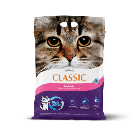 Intersand Classic Baby Powder 14kg