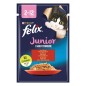 Felix Junior Beef in Jelly 85g Felix Junior Beef in Jelly 85g