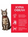 HILL'S Science Plan Adult με Κοτόπουλο 85g Hill's Science Plan Feline - 2