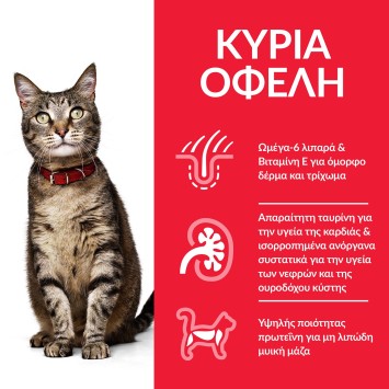 HILL'S Science Plan Adult με Κοτόπουλο 85g Hill's Science Plan Feline - 2