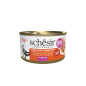 Schesir Cat Τόνο με κολοκύθα σε Φυσικό Ζωμό 70gr Schesir Cat Τόνο με κολοκύθα σε Φυσικό Ζωμό 70gr
