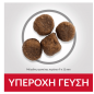 Hills Science Plan Puppy Medium Κοτόπουλο 14kg