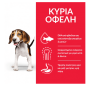 Hills Science Plan Puppy Medium Κοτόπουλο 14kg
