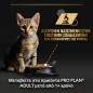 Pro Plan Kitten Cat Γαλοπούλα σε σάλτσα 85gr
