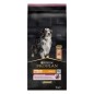 Pro Plan Dog Medium & Large Adult 7+ Sensitive Skin με Σολομό 14kg