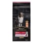 Pro Plan Dog Medium Adult Sensitive Skin με Σολομό 14kg