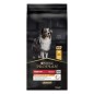 Pro Plan Dog Medium Adult rich in Chicken 14kg Pro Plan Dog Medium Adult rich in Chicken 14kg