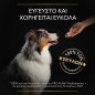 PRO PLAN Multivitamins+ Συμπλήρωμα Διατροφής για Σκύλους σε Δισκία PRO PLAN Multivitamins+ Συμπλήρωμα Διατροφής για Σκύλους σε Δισκία