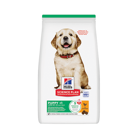 Hill's Science Plan Puppy Large Breed with Chicken 14,5kg