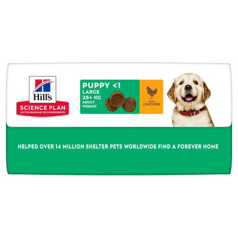 Hill's Science Plan Puppy Large Breed with Chicken 14,5kg