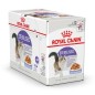Royal Canin Wet Sterilised in Jelly 12x85g