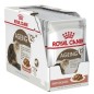 Royal Canin Wet Ageing +12 in Gravy 12x85g