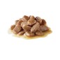 Royal Canin Wet Ageing +12 in Gravy 12x85g
