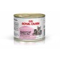 Royal Canin Wet Babycat Instinctive 195g