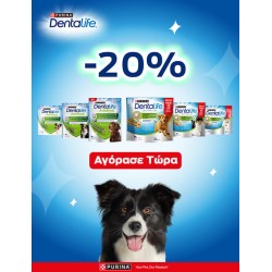 Dental Life -20%